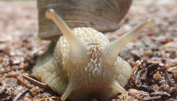 辅助开挂神器“卡农大厅开挂辅助软件”(透视)其实确实有挂