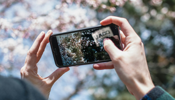 教程开挂辅助“手机十三张开挂神器”开挂(透视)辅助教程