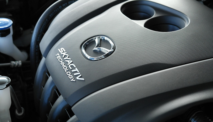 开挂器推荐“丽水跑得快开挂神器软件下载”其实确实有挂