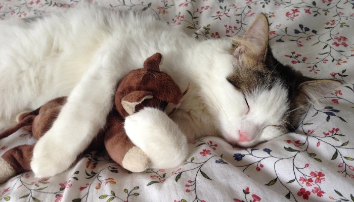 最新一款“大连打滚子要怎么开挂”开挂详细教程