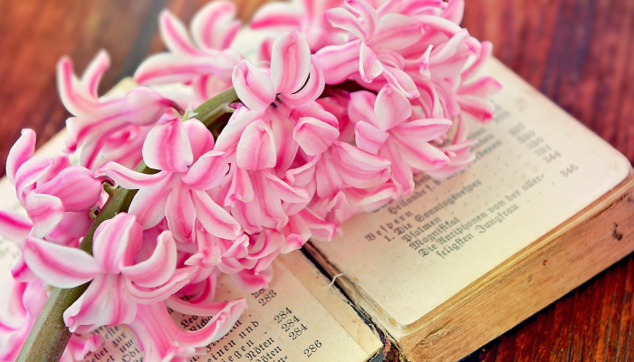 教程开挂辅助“北方家乡游戏辅助器版”其实确实有挂