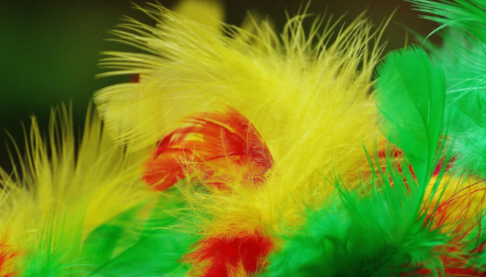 辅助开挂神器“科乐填大坑辅助器”(透视)其实确实有挂