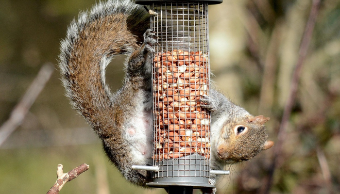 辅助开挂神器“白金岛跑得快开挂神器”(透视)其实确实有挂