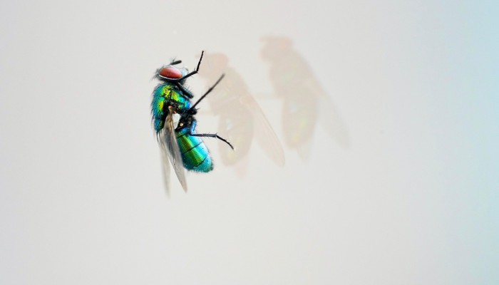 教程开挂辅助“中至打炸开挂教程”(透视)其实确实有挂