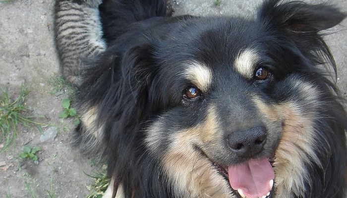 教程辅助“天天斗牌怎么开挂”(透视)其实确实有挂