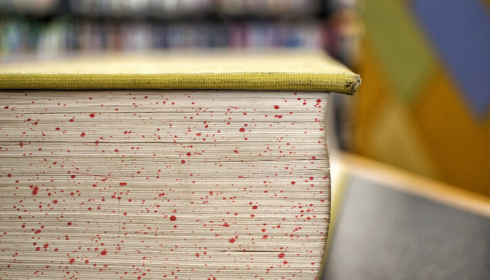 辅助开挂神器“yy衡阳字牌能不能开挂”(透视)其实确实有挂