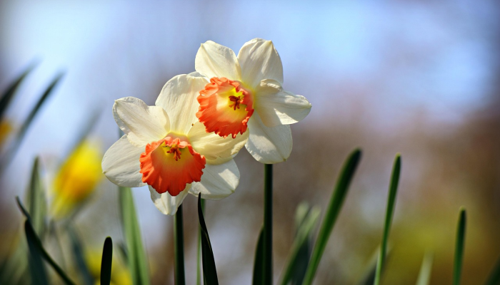 万能开挂辅助“新九游大厅开挂透视软件”开挂(透视)辅助教程 万能开挂辅助“新九游大厅开挂透视软件”开挂(透视)辅助教程