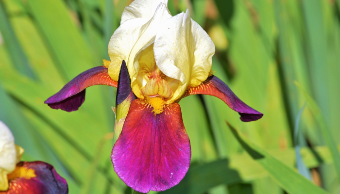 教程开挂辅助“大唐撸麻雀怎么开挂”开挂(透视)辅助教程