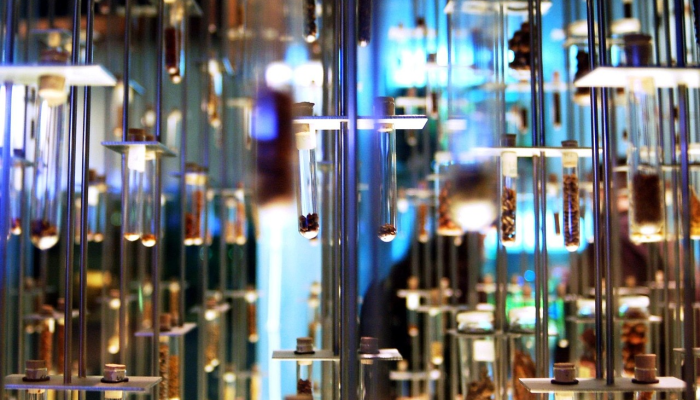 最新教程“天天十三水原来可以开挂”开挂详细教程