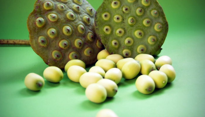 实测教程”正宗乐平麻将可以开挂吗”其实确实有挂