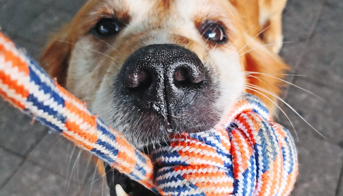 万能开挂辅助“捕鱼上分作弊”开挂(透视)辅助教程