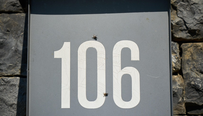 万能开挂辅助“皮皮跑得快怎么开挂”(透视)其实确实有挂