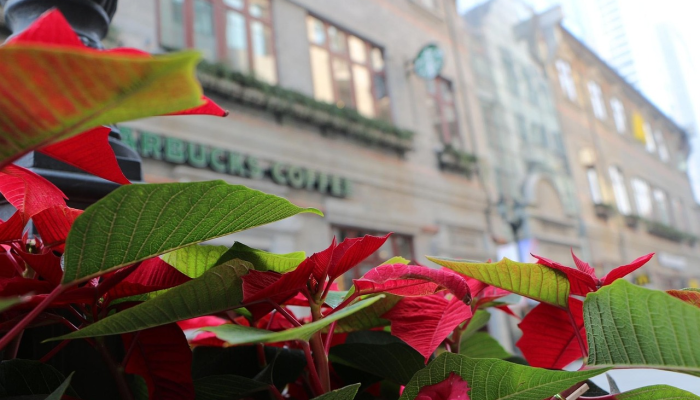 开挂辅助工具“科乐天天踢有没有透视挂”(透视)其实确实有挂