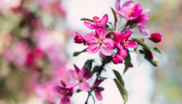 实测教程”方片比鸡可以开挂吗”开挂(透视)辅助教程
