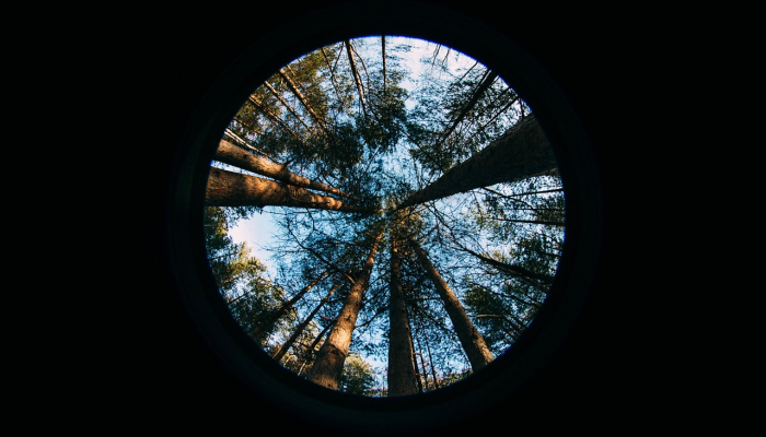 独家脚本实测“德扑之星德州app透视挂”开挂详细教程