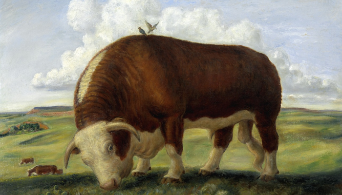 辅助开挂神器“互乐广西麻将怎么开挂”其实确实有挂