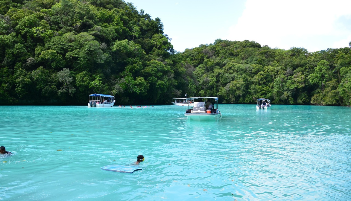 开挂器推荐“百胜互娱是不是可以开挂”其实确实有挂