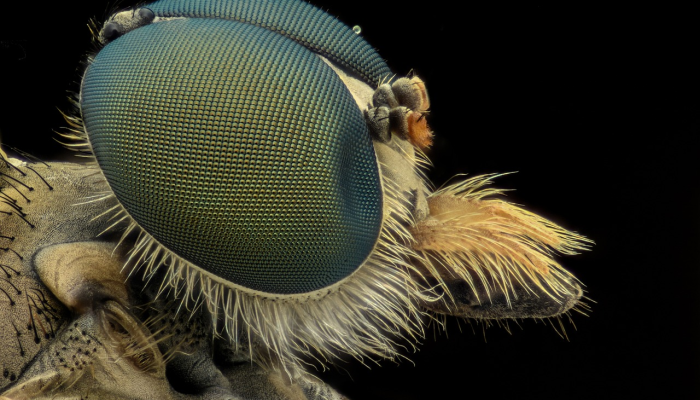 辅助开挂神器“雀神广东麻将技巧规律”(透视)其实确实有挂
