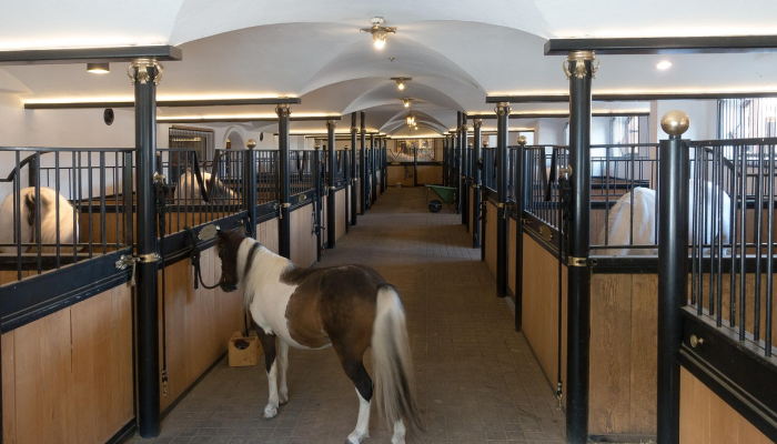 辅助开挂神器“欢乐碰胡可以开挂吗”(透视)其实确实有挂