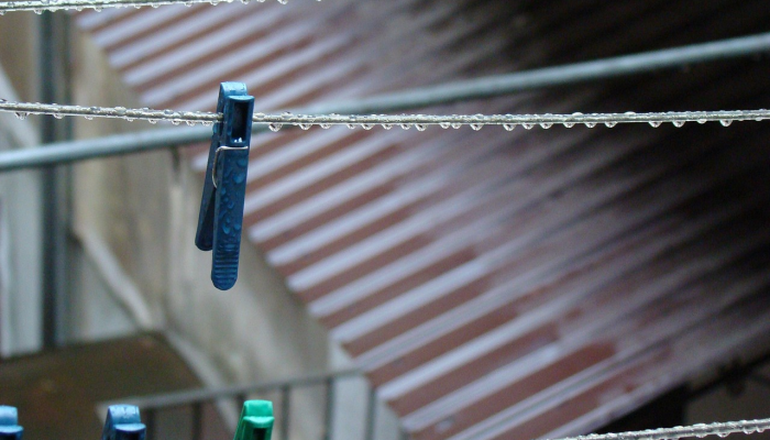 实测教程”瓜瓜丰城开挂神器软件下载”其实确实有挂