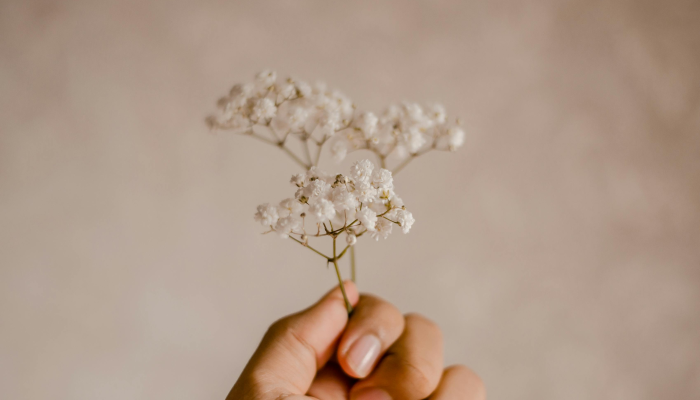 教程开挂辅助“趣味板子炮开挂辅助器教程”开挂(透视)辅助教程