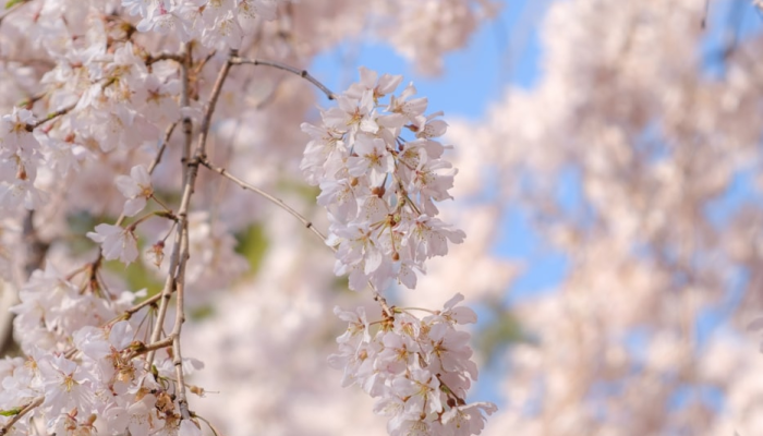 开挂器推荐“中天游戏有挂吗”其实确实有挂