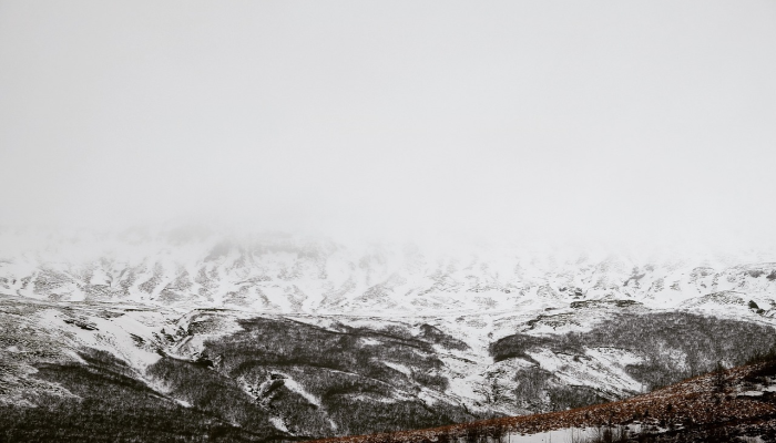 教程辅助“新金龙哪里有透视挂”(透视)其实确实有挂