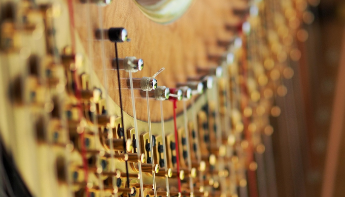 教程辅助“乐赢透视神器”(透视)其实确实有挂