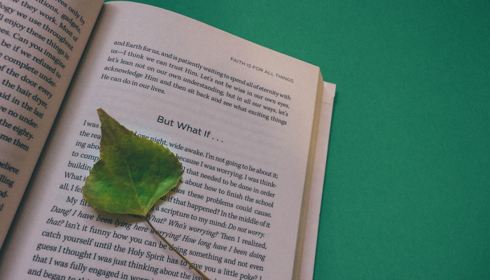 独家脚本实测“摇钱树有没有挂”开挂详细教程