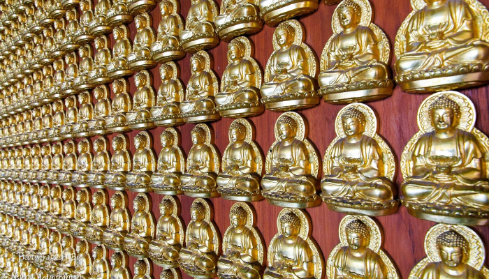 实测教程”皮皮云南麻将可以开挂吗”(透视)其实确实有挂