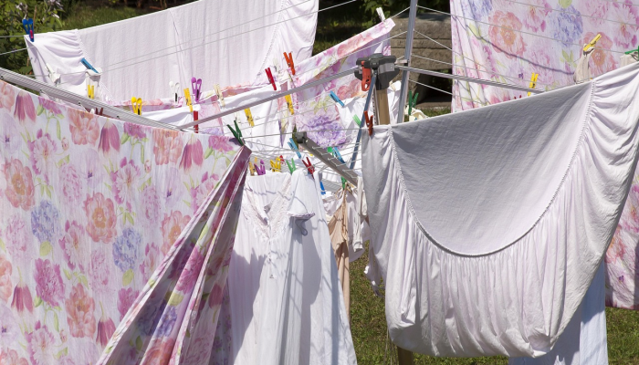 开挂器推荐“透视挂辅助器脚本”其实确实有挂