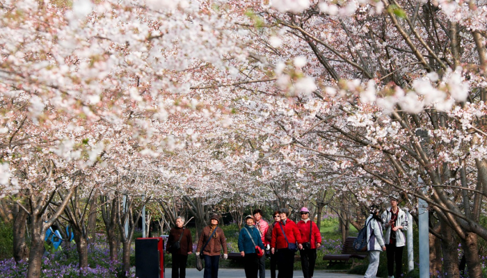 万能开挂辅助“樱花众娱开挂辅助器哪里有”(透视)其实确实有挂