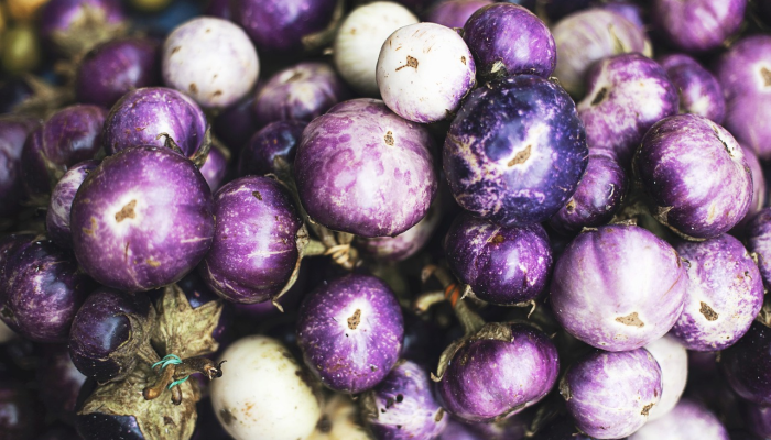 万能开挂辅助“福建天天开心辅助”(透视)其实确实有挂