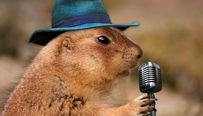 开挂器推荐“斗牛游戏大厅挂哪里能买到”其实确实有挂