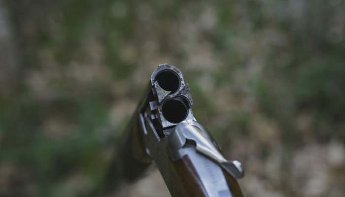 辅助开挂神器“森林争霸可以开挂吗”(透视)其实确实有挂