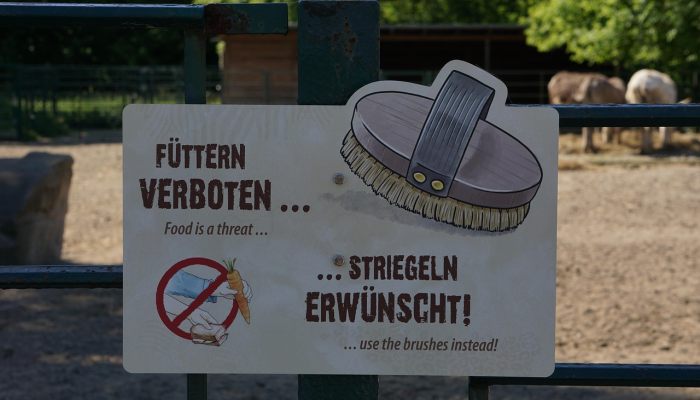 教程开挂辅助“江西微乐麻将万能开挂器”其实确实有挂