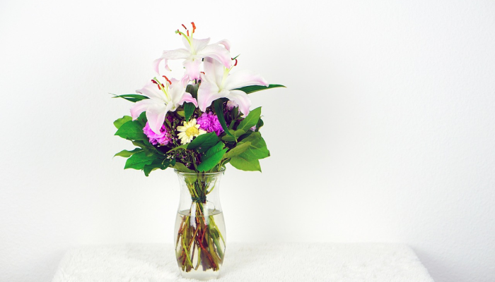 开挂器推荐“开心武汉花有没有挂”其实确实有挂