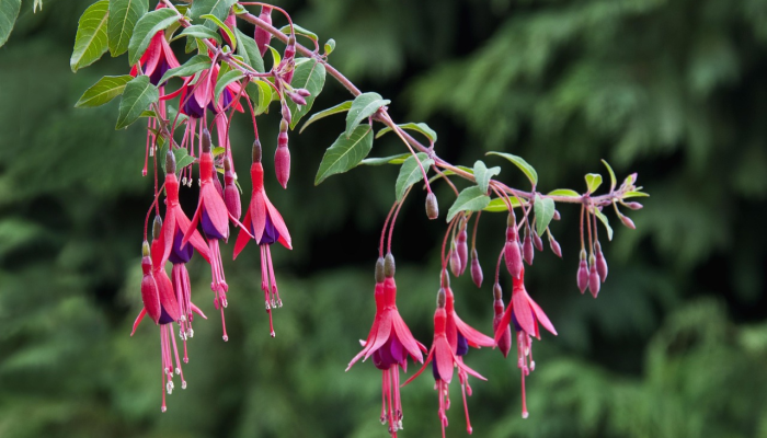 辅助开挂神器“花花生活圈挂怎么开”其实确实有挂
