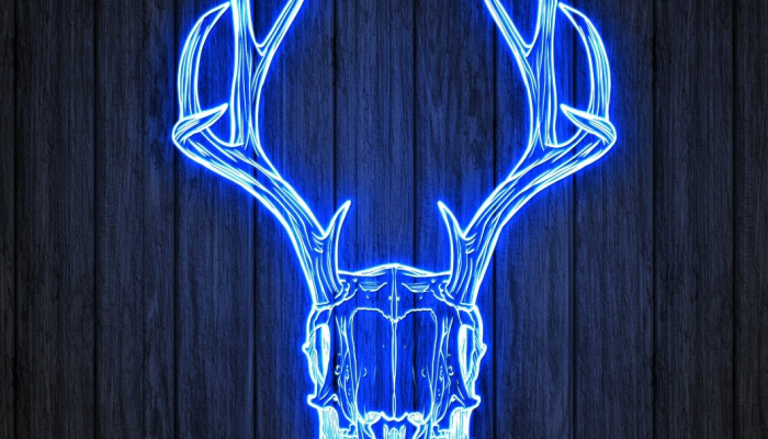 实测教程”大资本红黑大战到底能不能开挂”其实确实有挂