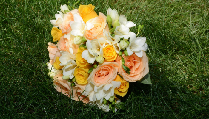 教程开挂辅助“洋洋挖花确实有挂”其实确实有挂