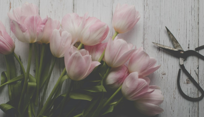 教程开挂辅助“花花生活圈外卦神器”(透视)其实确实有挂